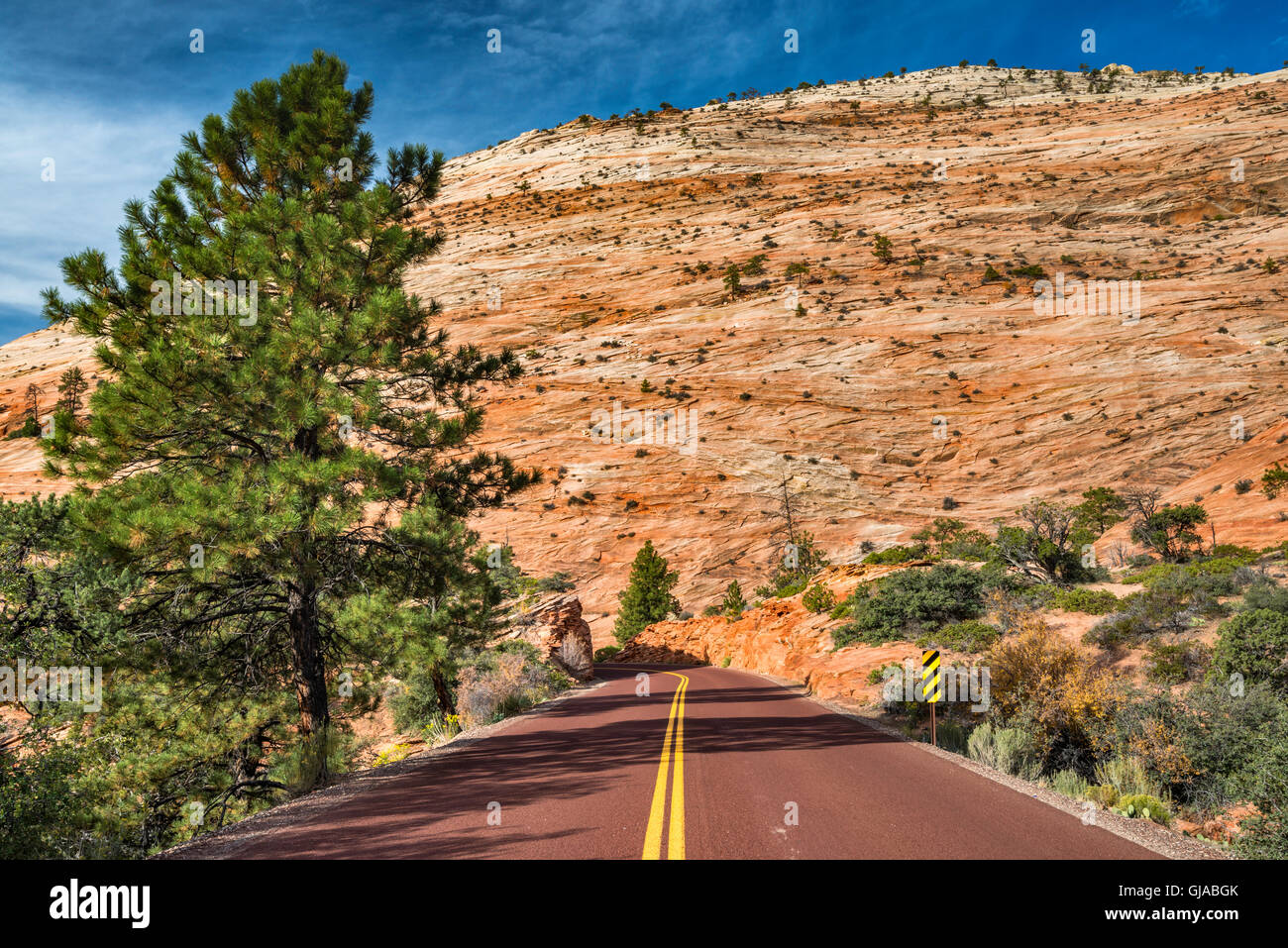 Crossbedded slickrock formation, along Zion - Mount Carmel Highway, near East Entrance, Zion National Park, Utah, USA Stock Photo