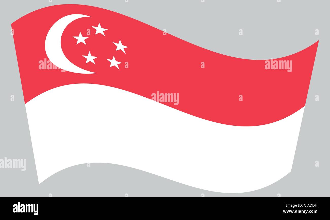 Flag of Singapore waving on gray background. Singapore national flag ...
