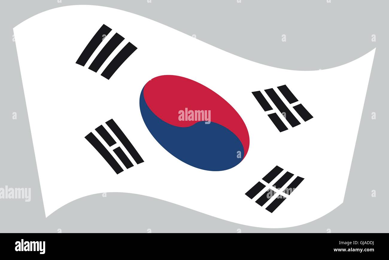Flag of South Korea waving on gray background. South Korean national