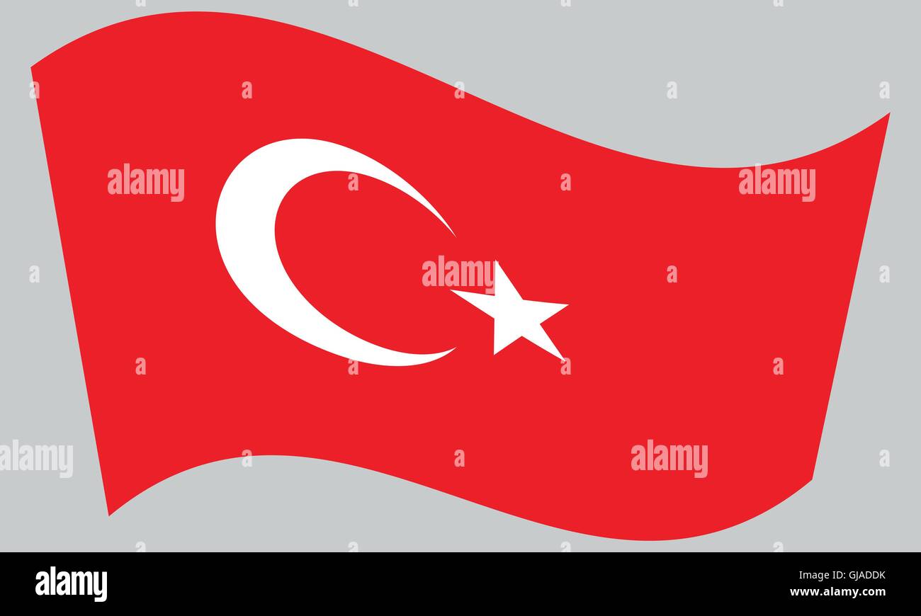 Flag of Turkey waving on gray background. Turkish national flag. Stock Vector