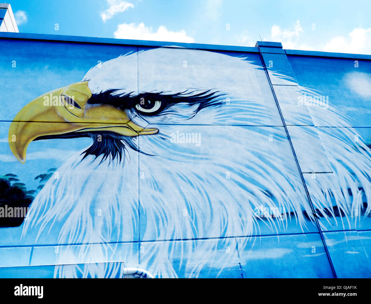Street Art in Orlando in Florida USA Stock Photo Alamy