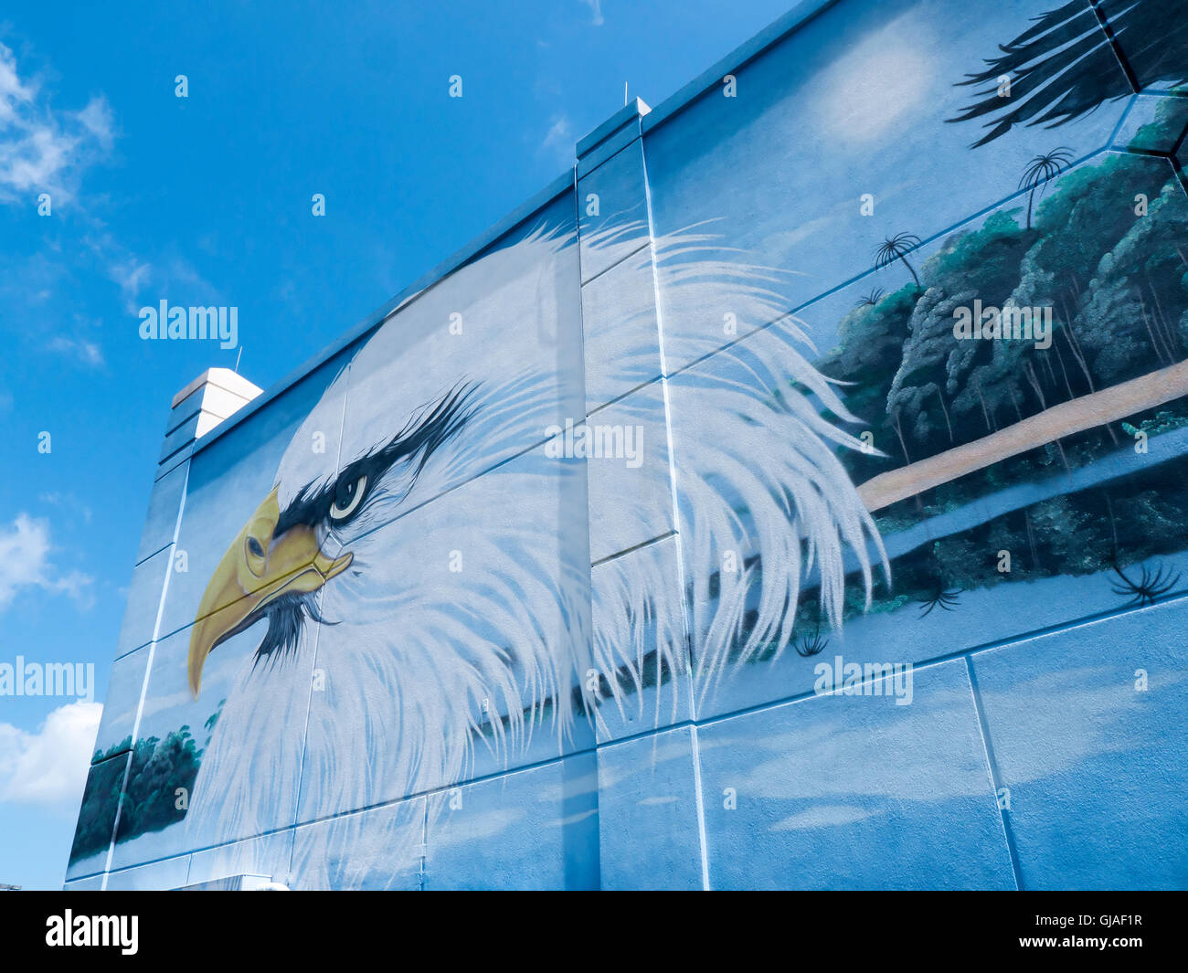 Street Art in Orlando in Florida USA Stock Photo Alamy