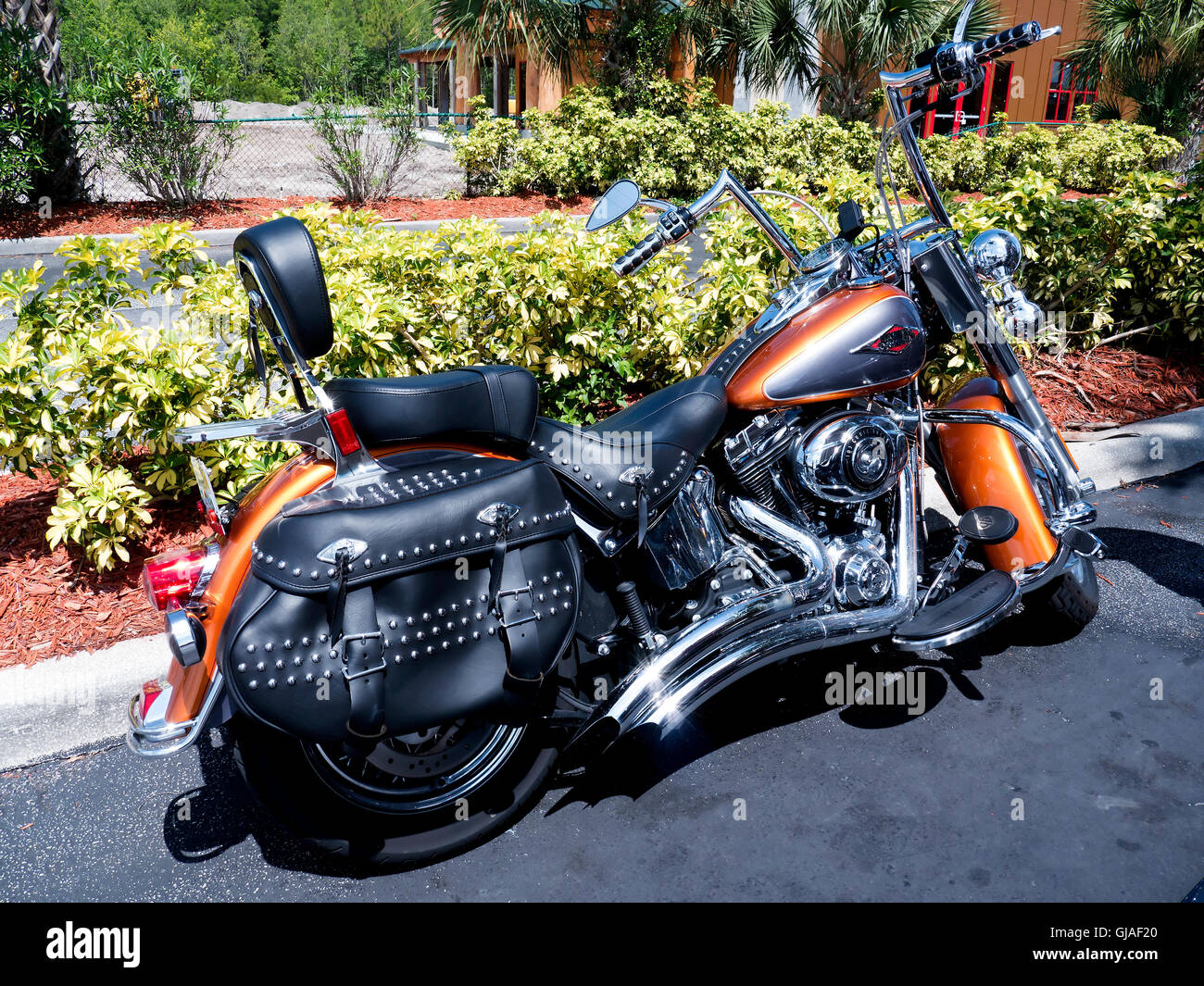 Motorbike in Orlando in Florida USA Stock Photo Alamy