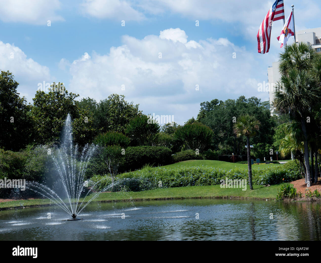 Street Art in Orlando in Florida USA Stock Photo Alamy