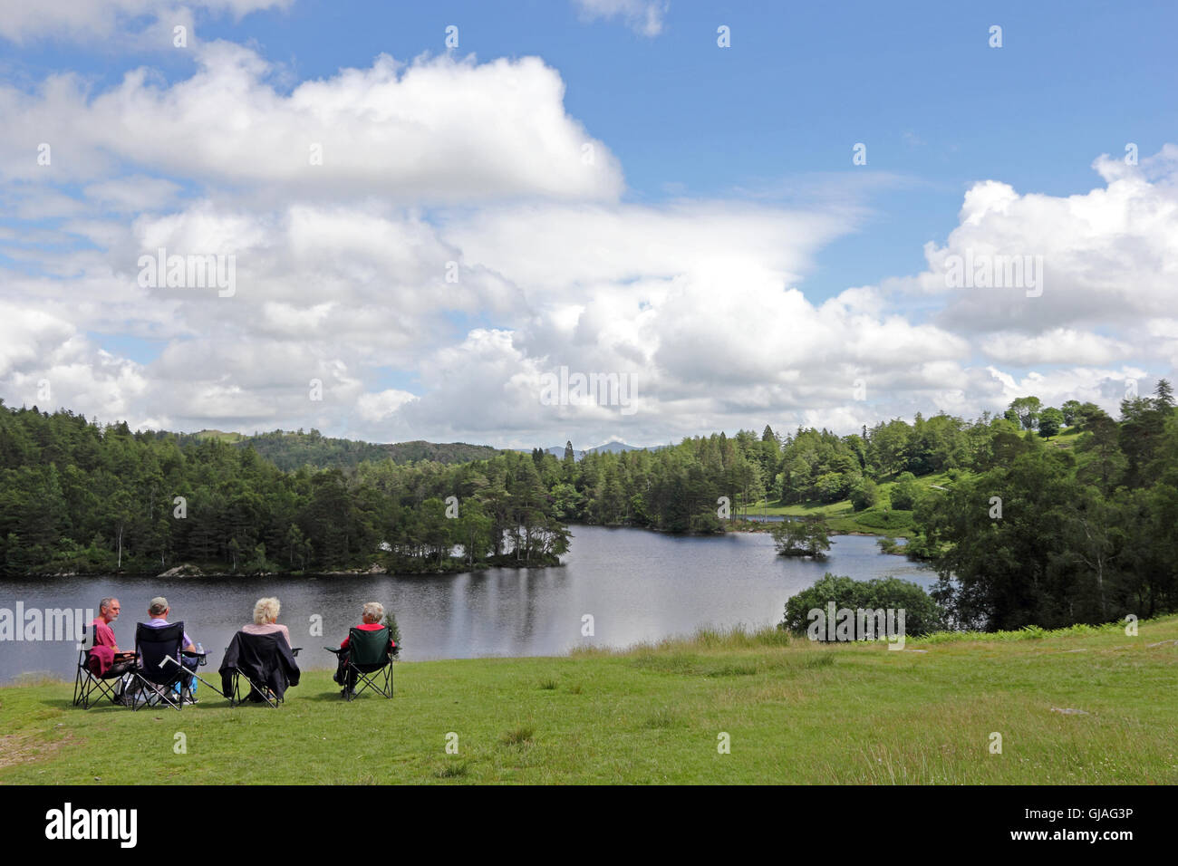 4 middle aged people admiring the view at Tarn Hows, Cumbria Stock Photo