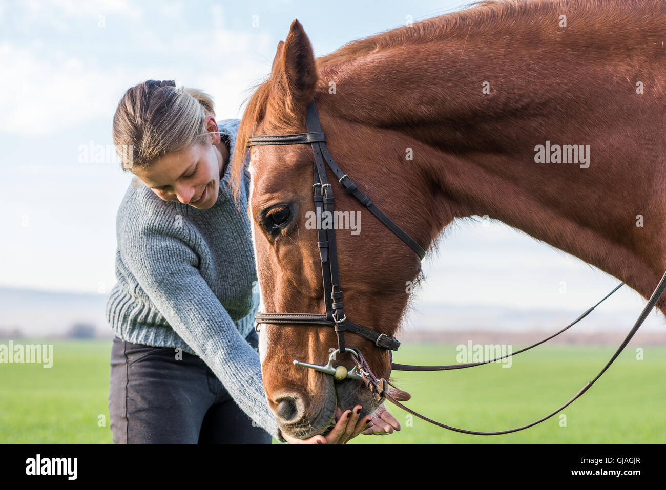 young woman taking care of her horse Stock Photo Alamy