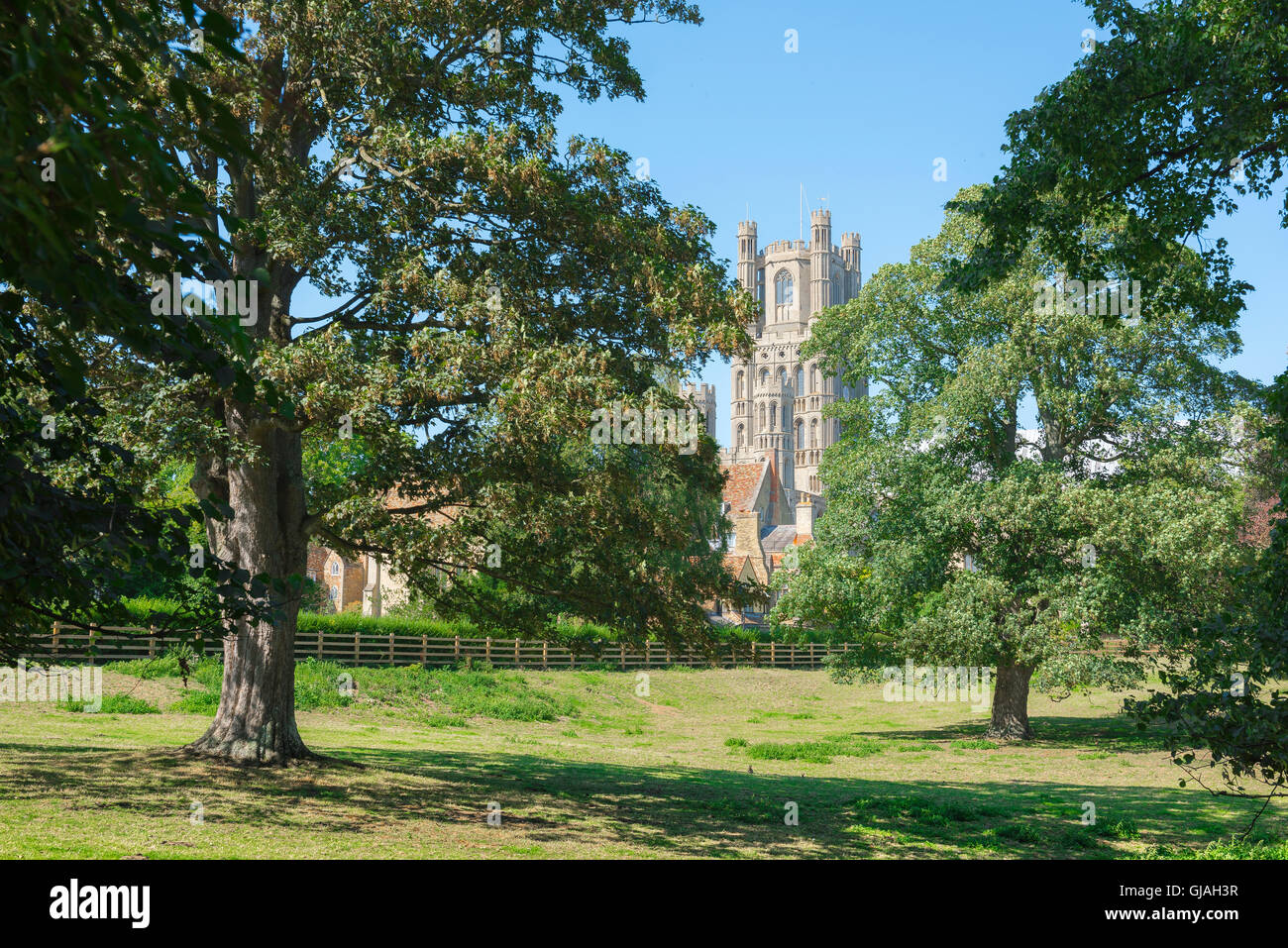 Ely park, view of Cherry Hill Park in the East Anglian cathedral city