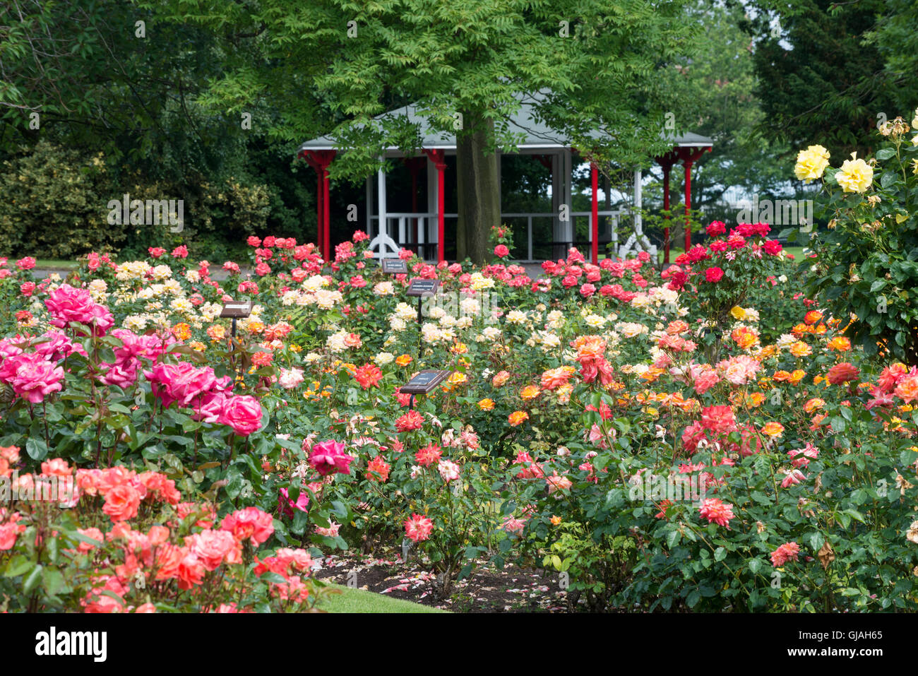 The Belfast Botanical Gardens in the Queens Quarter Belfast Stock Photo ...