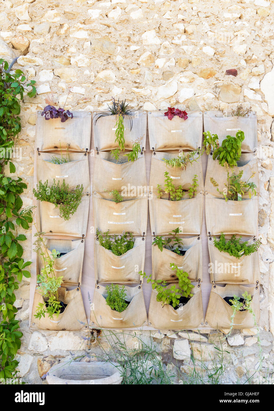 Vertical hessian wall feature of herbs in pockets in Mirmande, France Stock Photo
