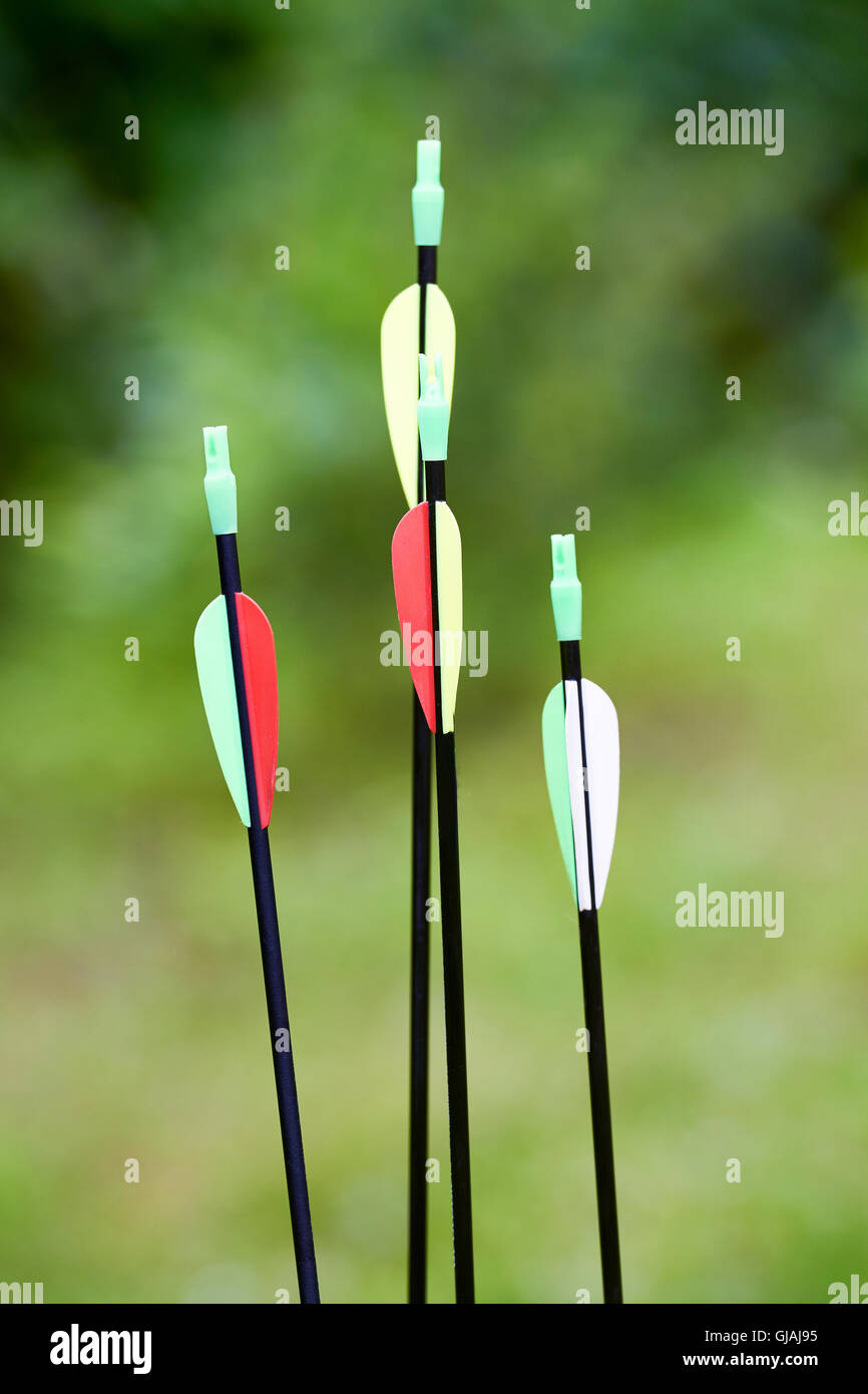 Little archer with bow and arrows outdoors Stock Photo Alamy