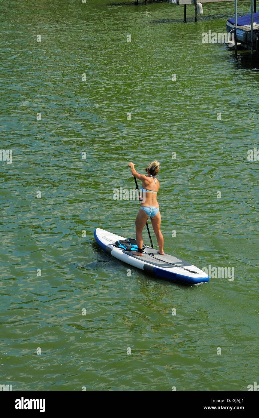 Physically fit woman on paddle board Stock Photo