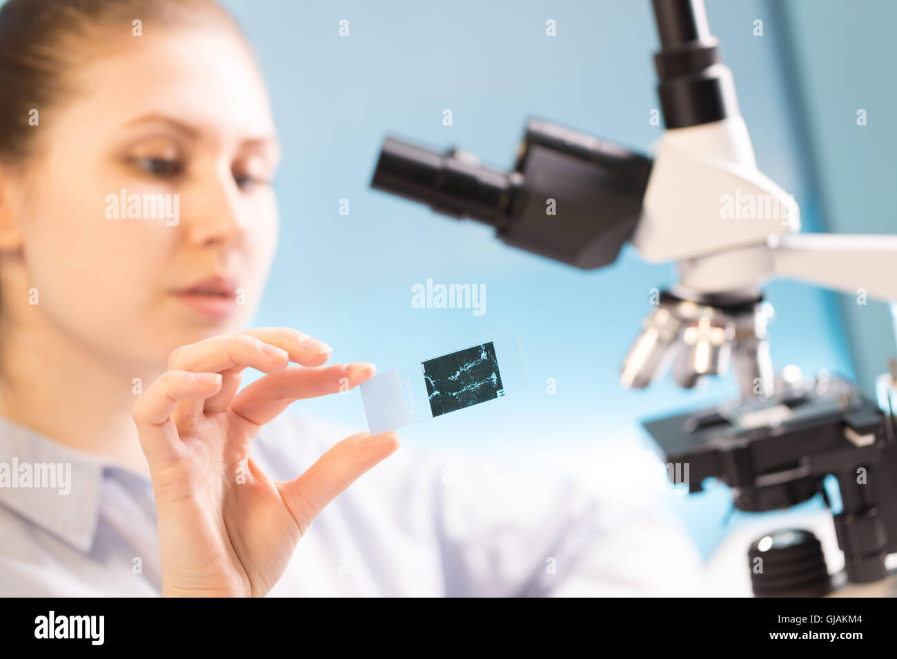 Woman in a laboratory microscope with microscope slide in hand