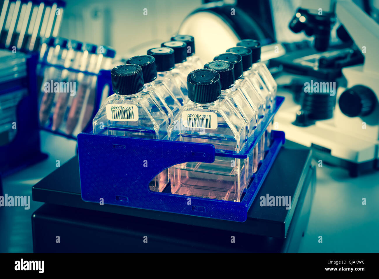 Glass laboratory chemical test tubes with liquid. Selective focus effect Stock Photo