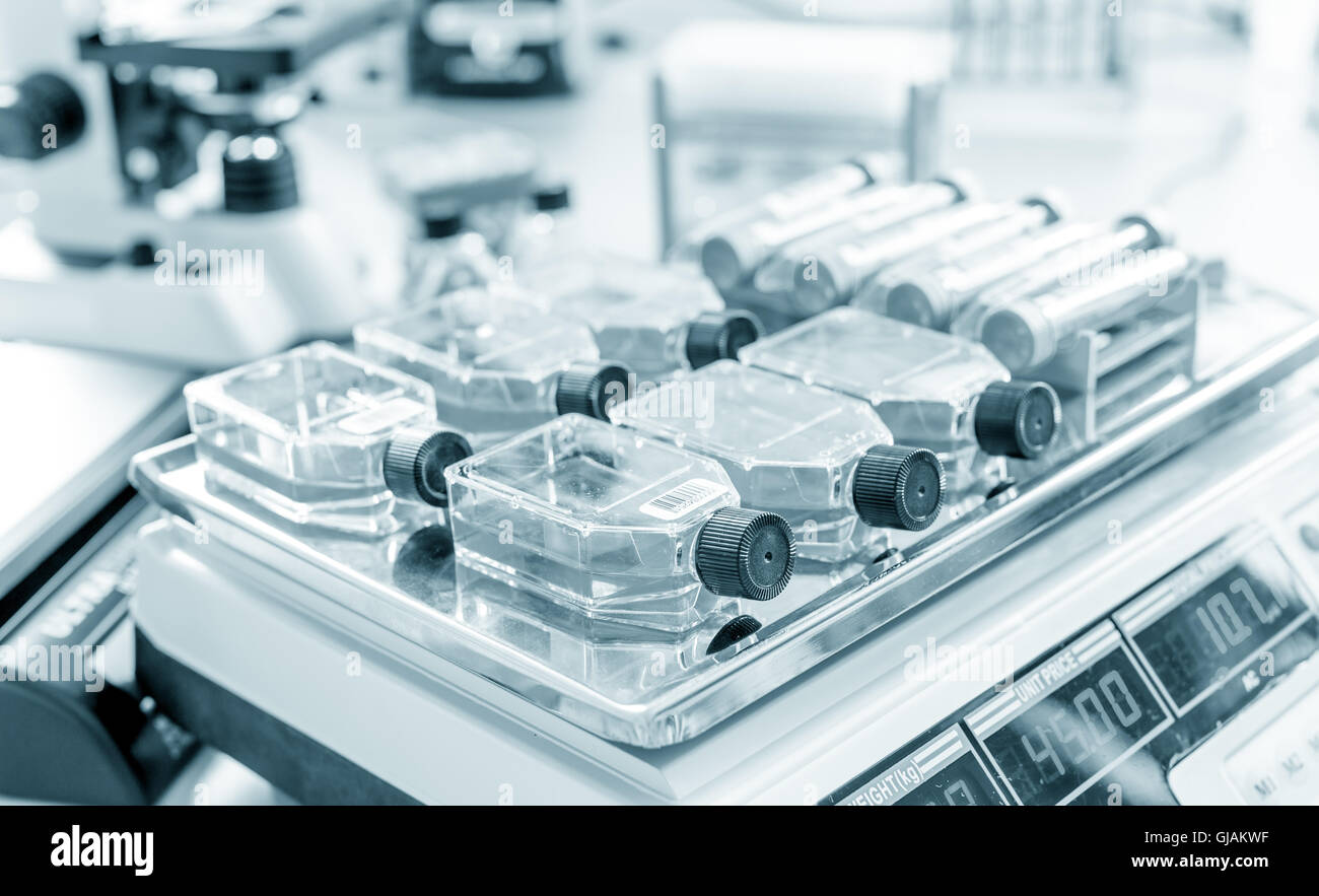 Glass laboratory chemical test tubes with liquid. Selective focus effect Stock Photo