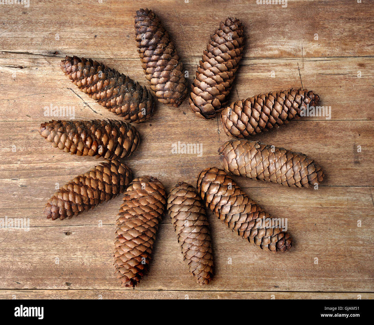 pine cones  flower shape on wooden background Stock Photo