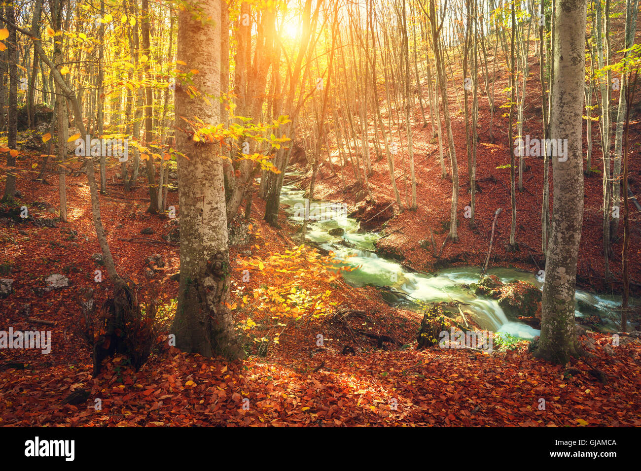 Colorful autumn landscape with mountain river and trees with orange and ...