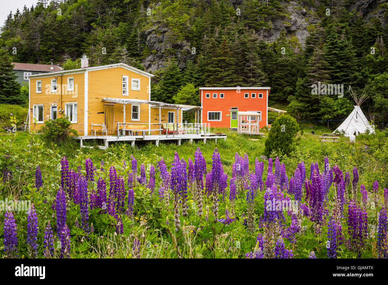 Colorful salt box houses at East Bauline, Newfoundland and Labrador