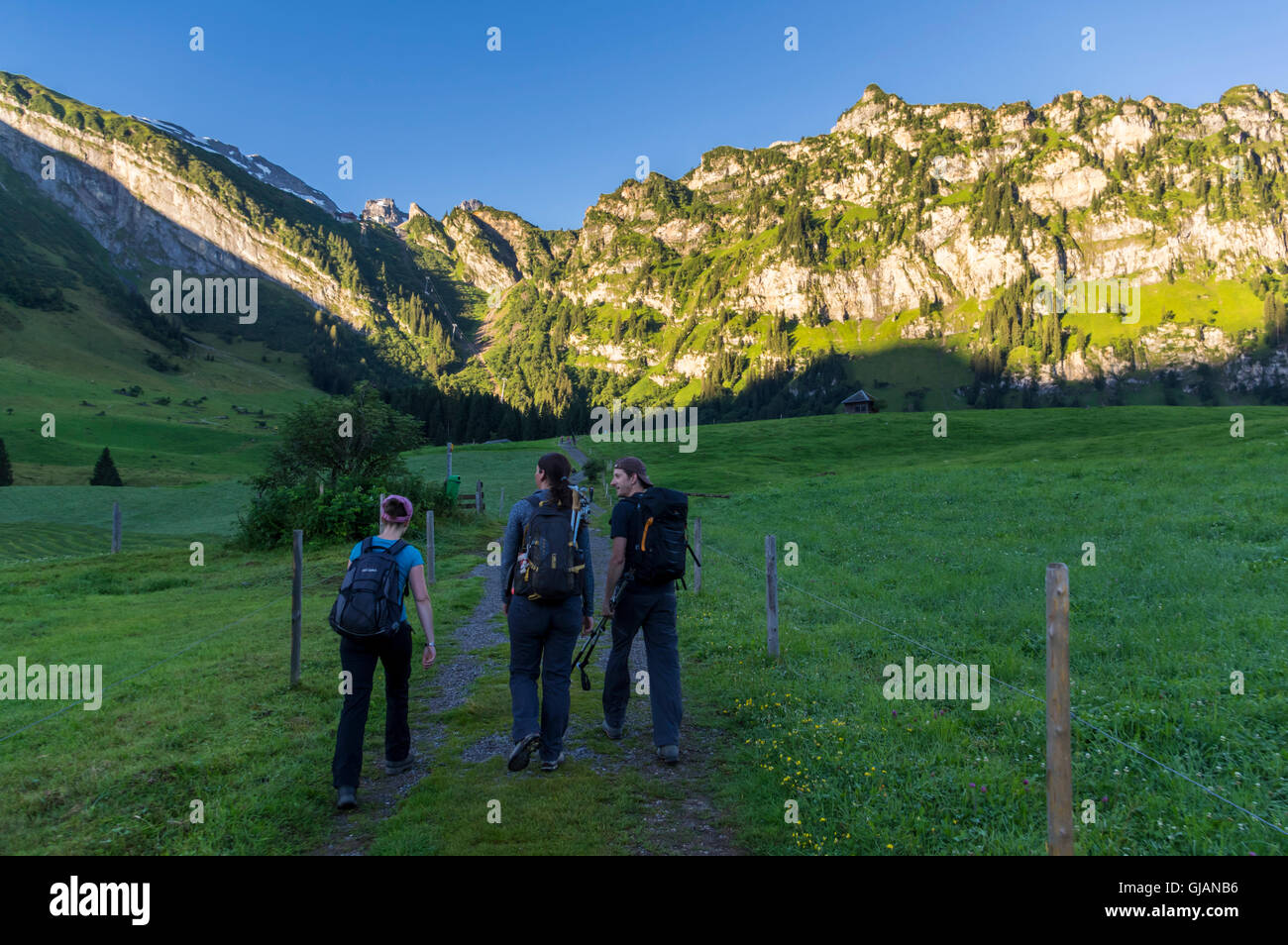 Group of three hikers in early morning, hiking in the shadow towards a sunlit mountain in the Swiss Alps. Stock Photo