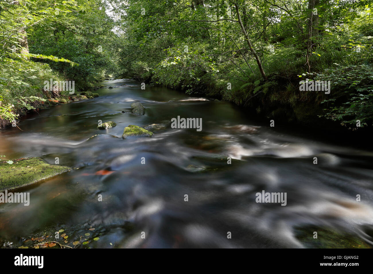 The River Washburn, Blubberhouses, North Yorkshire, England, UK Stock