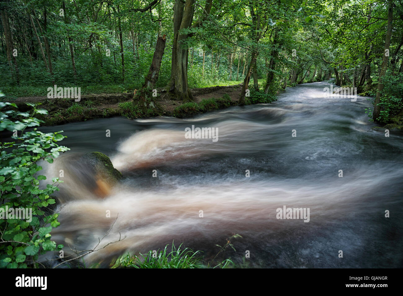 River Washburn Blubberhouses North Yorkshire, England, UK Stock Photo
