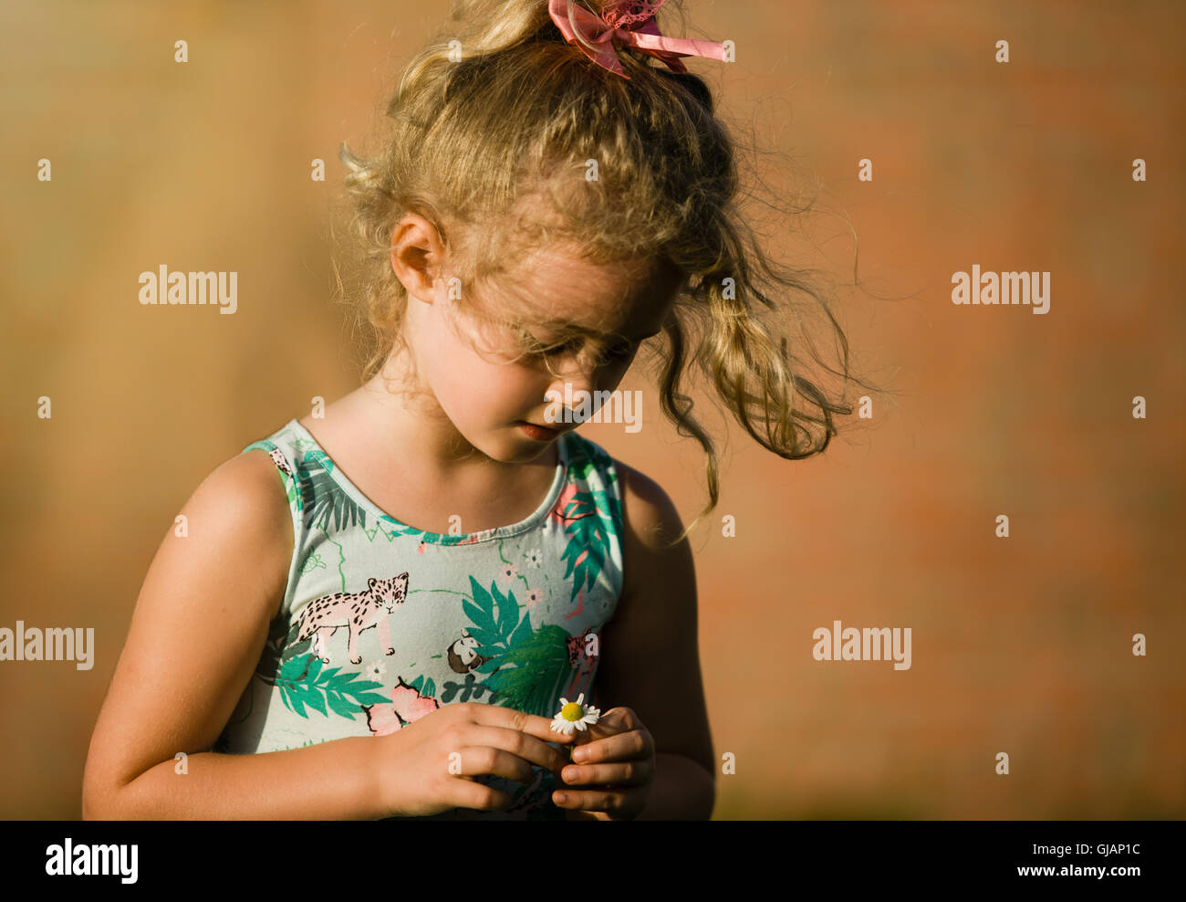 Little blonde girl with chamomile, summertime outdoor Stock Photo - Alamy