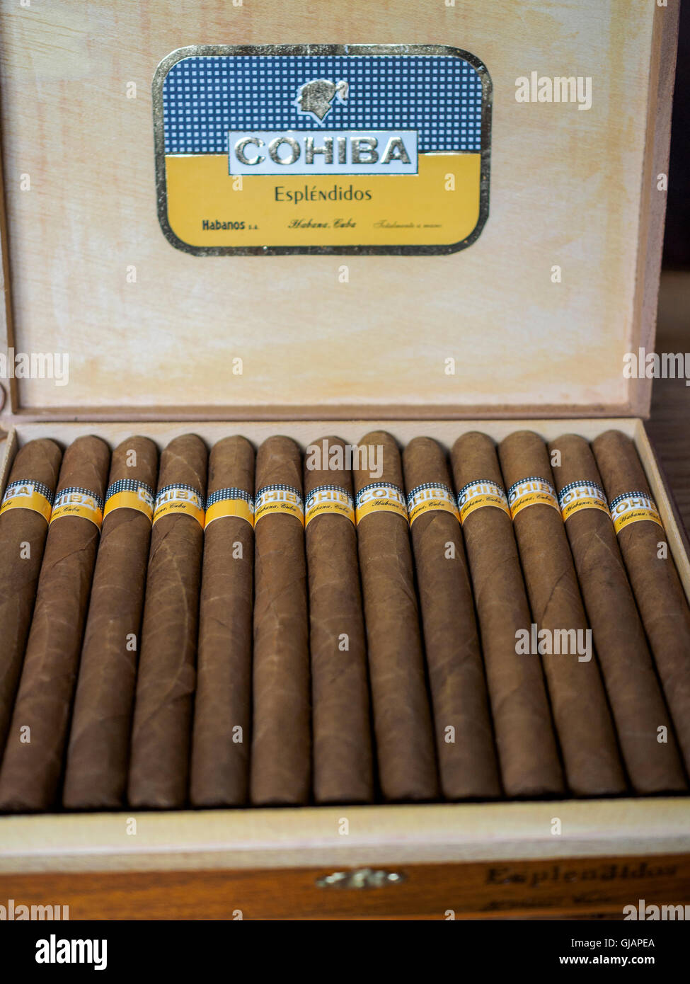 Una caja de Cigarros Puros Cubanos Habanos Cohiba grande Fotografía de  stock - Alamy