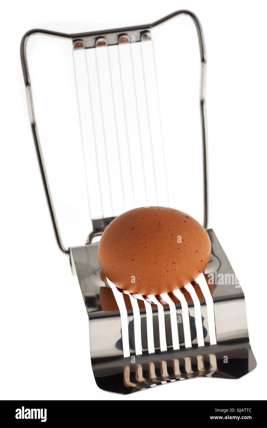 egg cutter with an egg isolated on white background Stock Photo Alamy