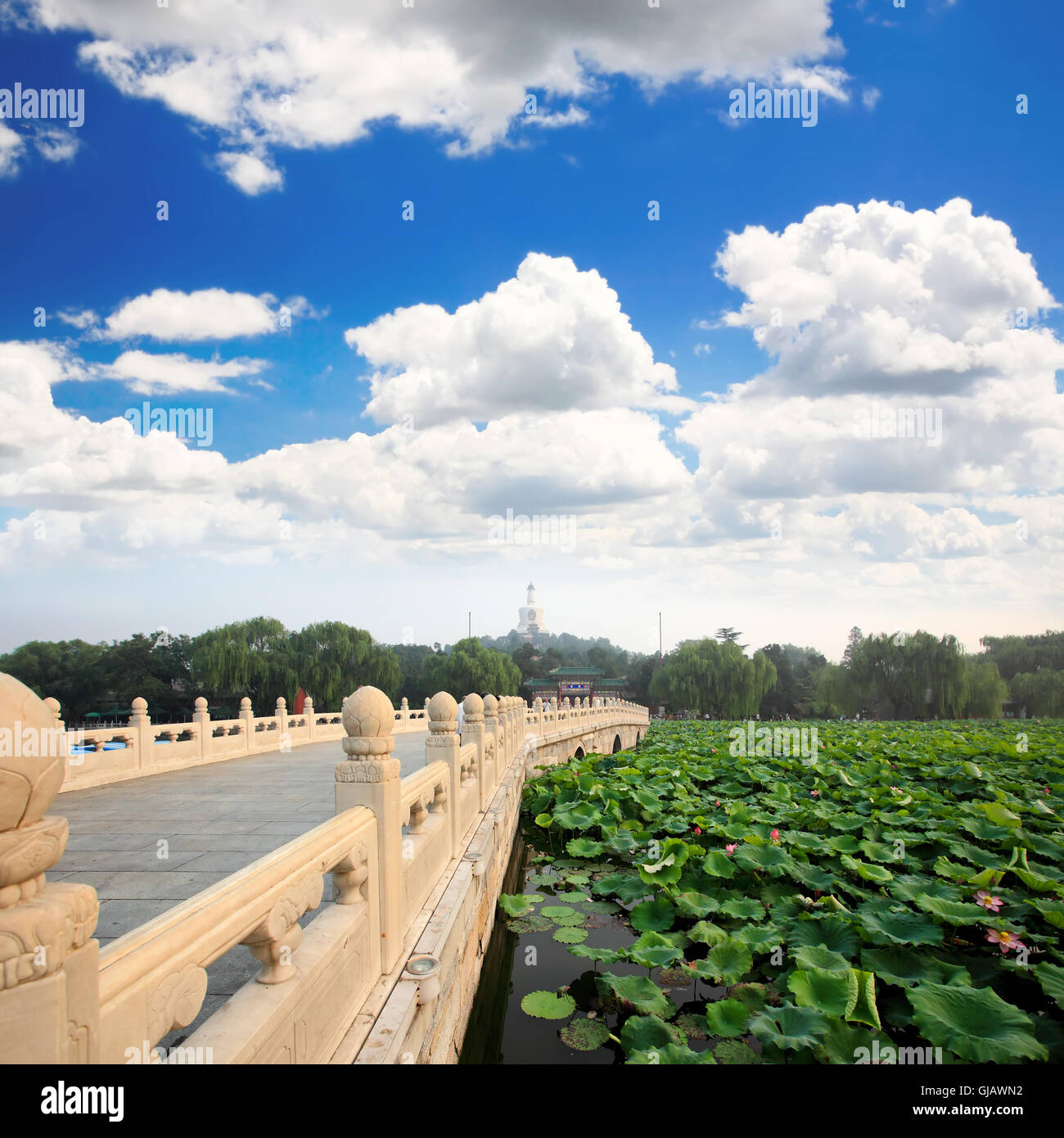 The Beihai Park near Forbidden City Beijing Stock Photo - Alamy