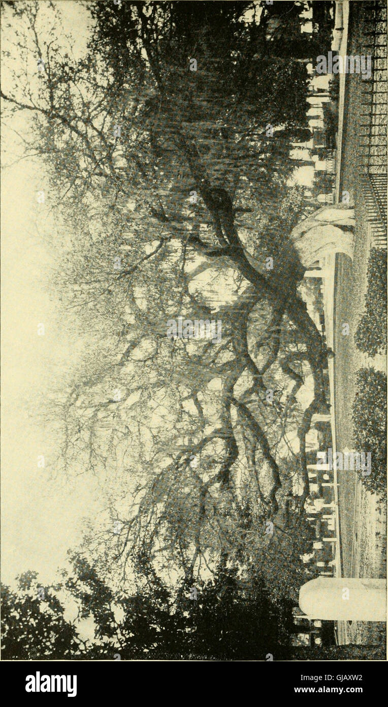 History of the First Light Battery Connecticut Volunteers, 18611865