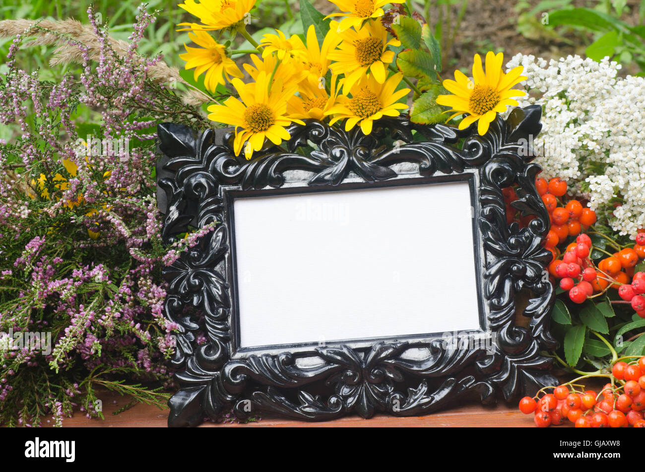 fall composition with flowers and rowan berries Stock Photo - Alamy