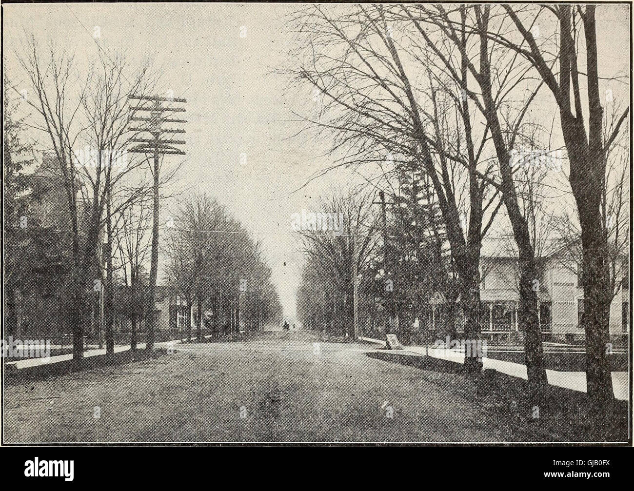 Coldwater, Michigan pictorial city directory and year book (1919 Stock
