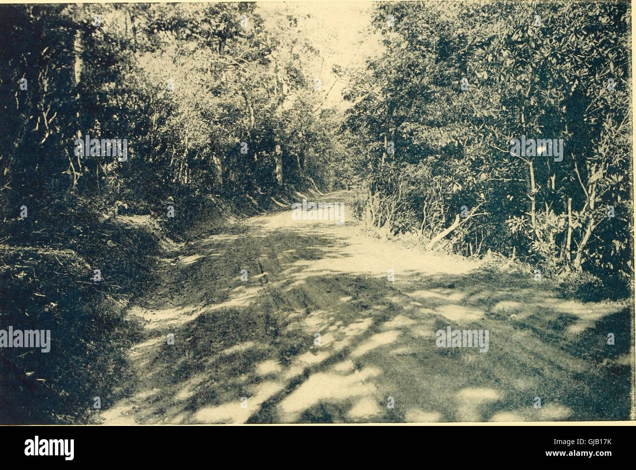 In Cloudland, Mayview Park, Blowing Rock, North Carolina (1920 Stock