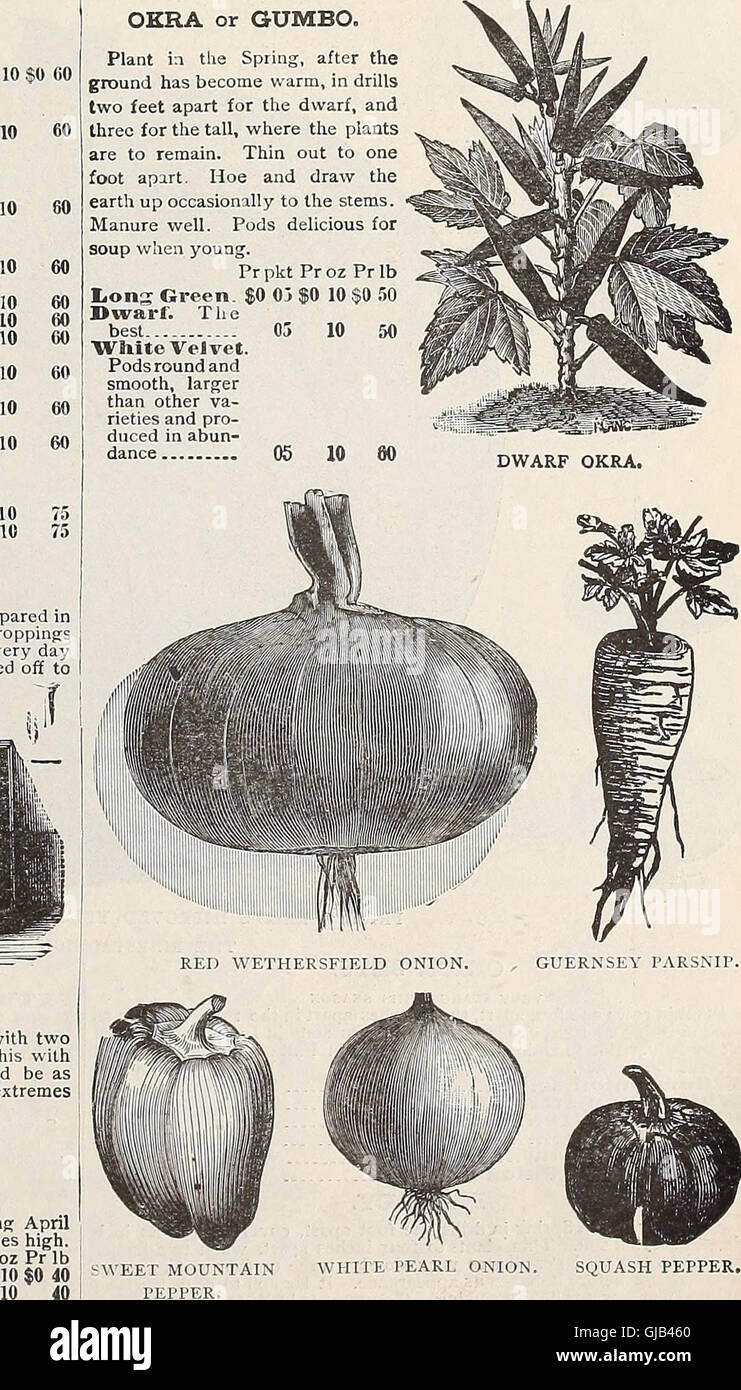 A catalog listing flower, vegetable, and field seeds, along with