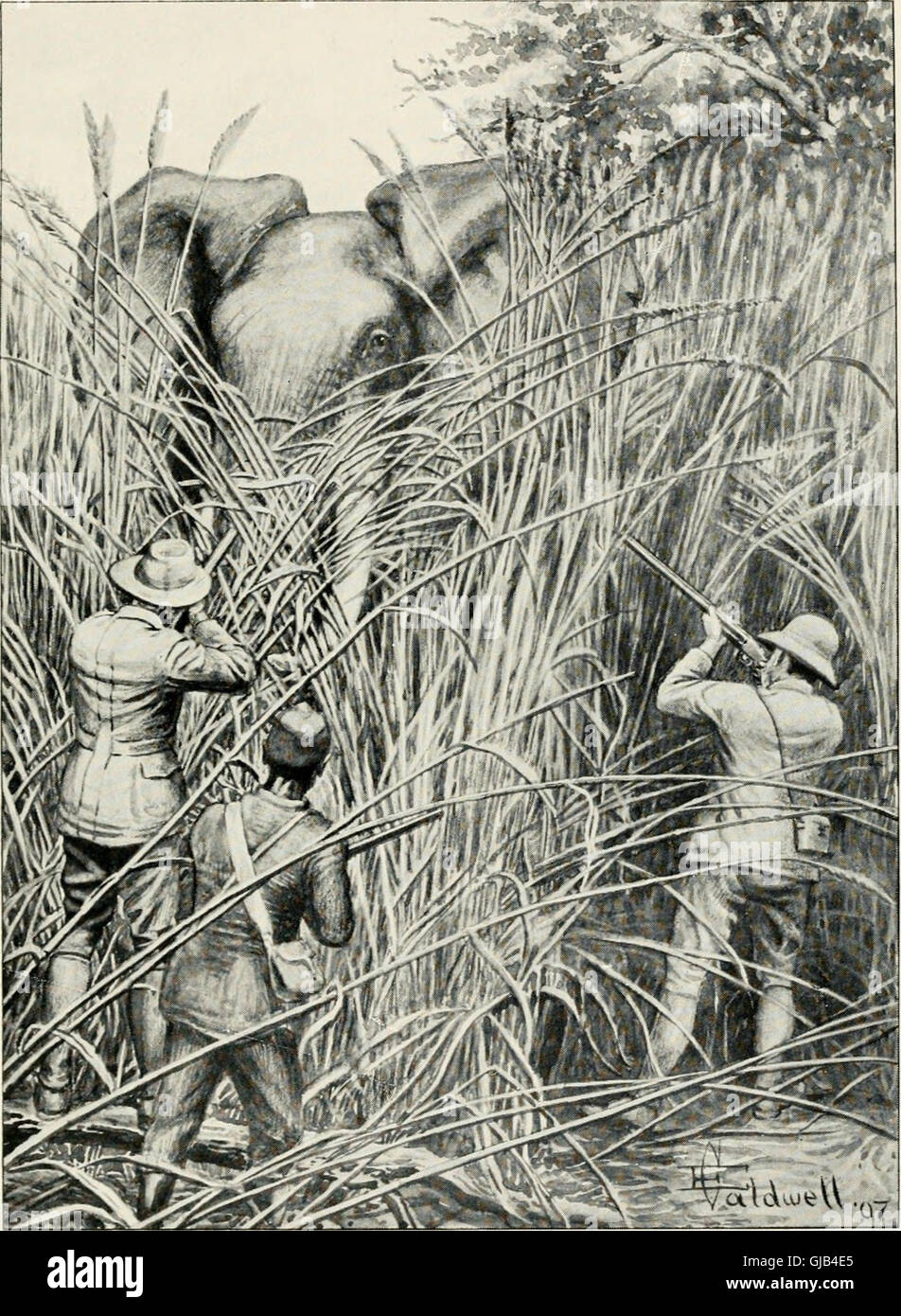 Hunt study