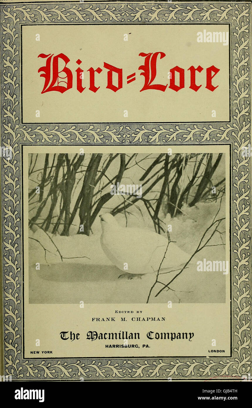 Bird lore (1902) Stock Photo