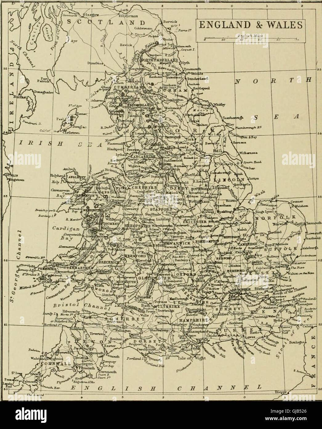 The war in Europe, its causes and consequences; an authentic narrative