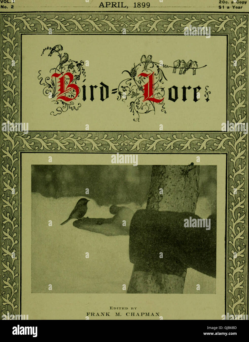 Bird lore (1899) Stock Photo