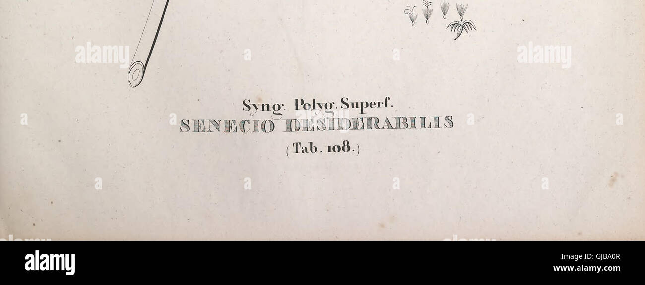 Petro nomine ac imperio primo Brasiliensis imperii perpetuo defensore jubente Florae fluminensis icones nunc primo eduntur (1827) Stock Photo