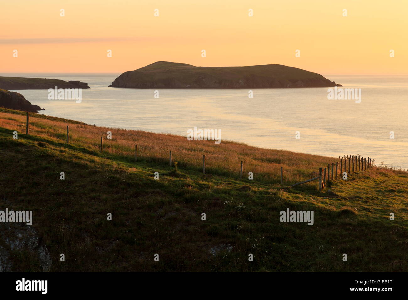 Cardigan Island viewed from the Ceredigion Coastal Path Stock Photo Alamy