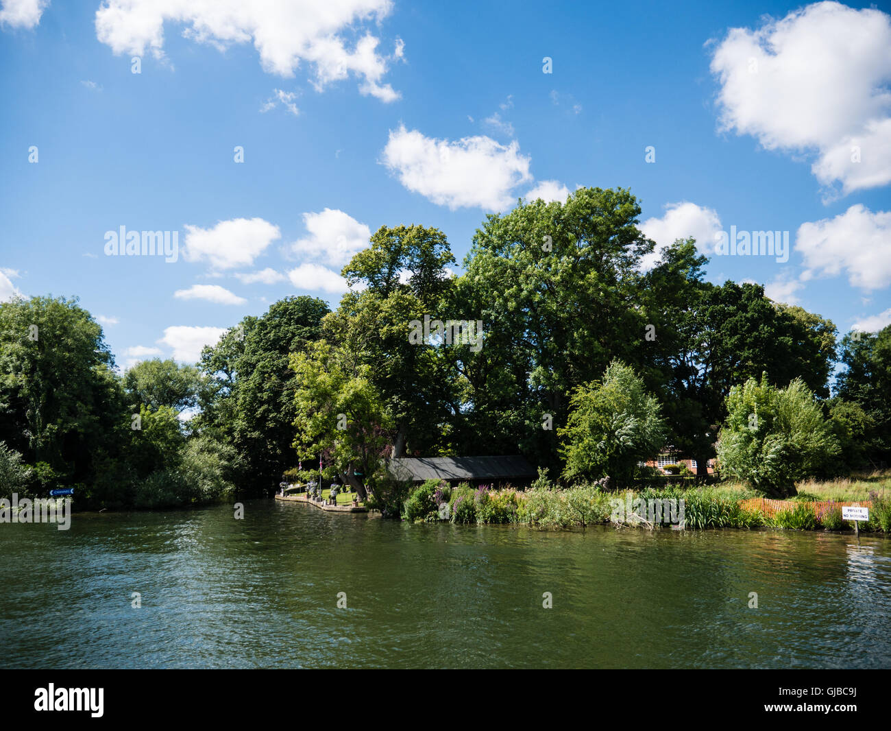 Wild Riverbank with Trees, River Thames, Reading, Berkshire, England