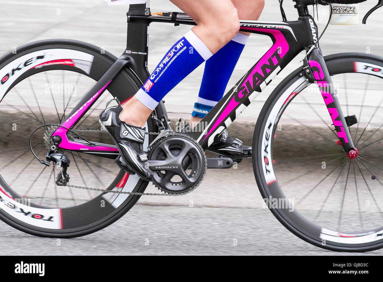 trek lightweight bike