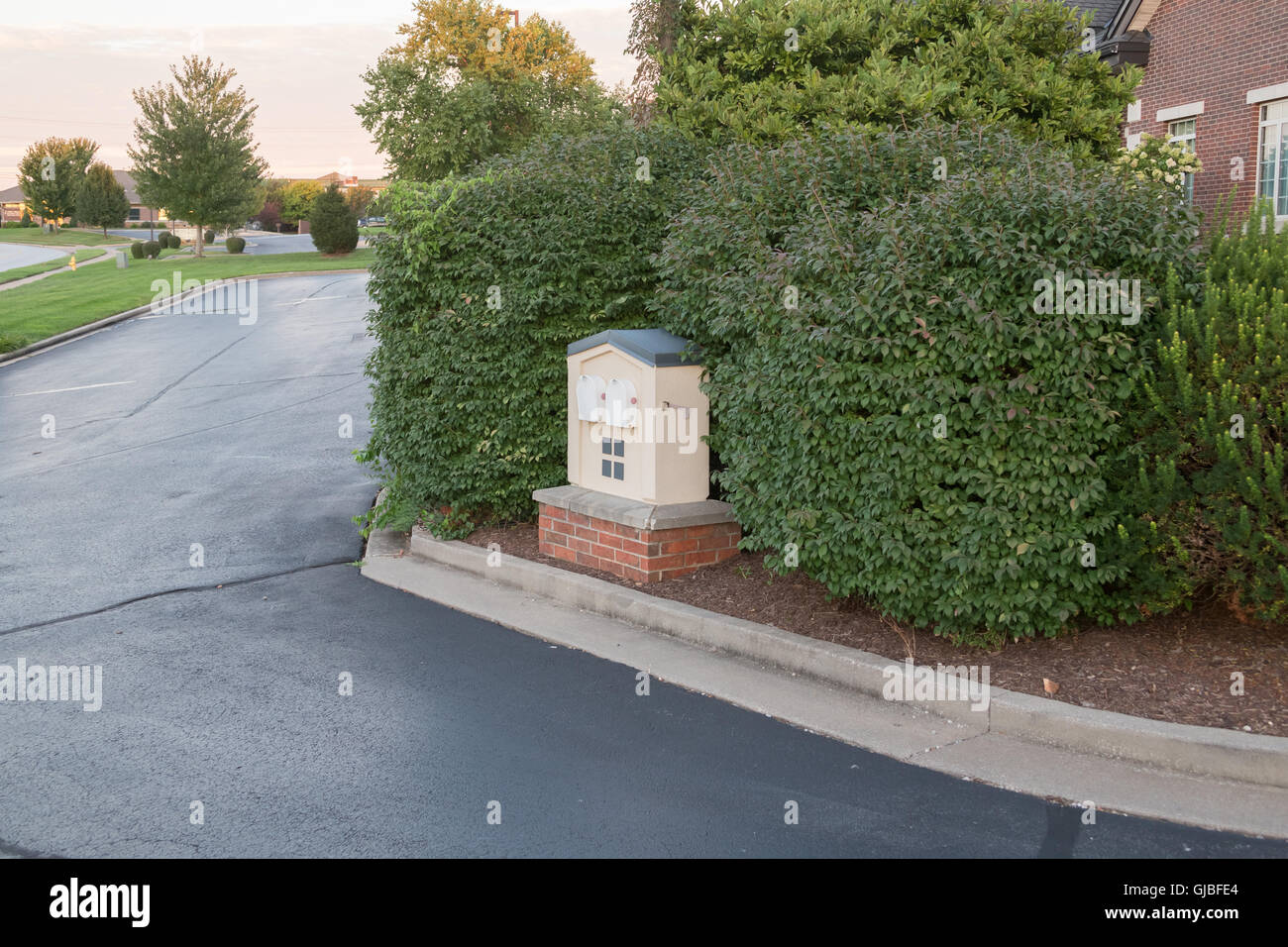 Mailboxes shrubs businesses curb USPS Stock Photo Alamy
