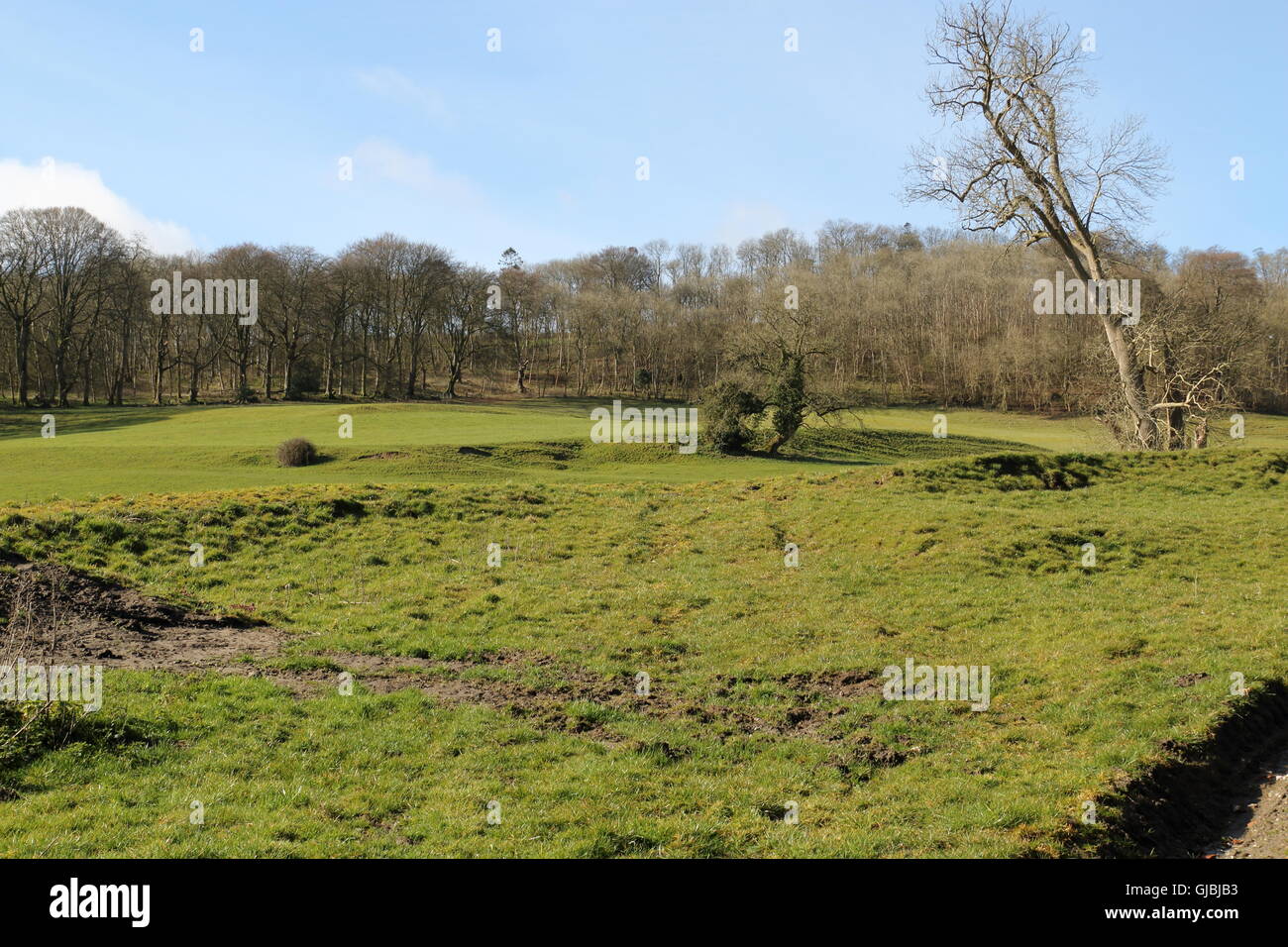 Field near Melbury Bubb,Dorset,UK Stock Photo