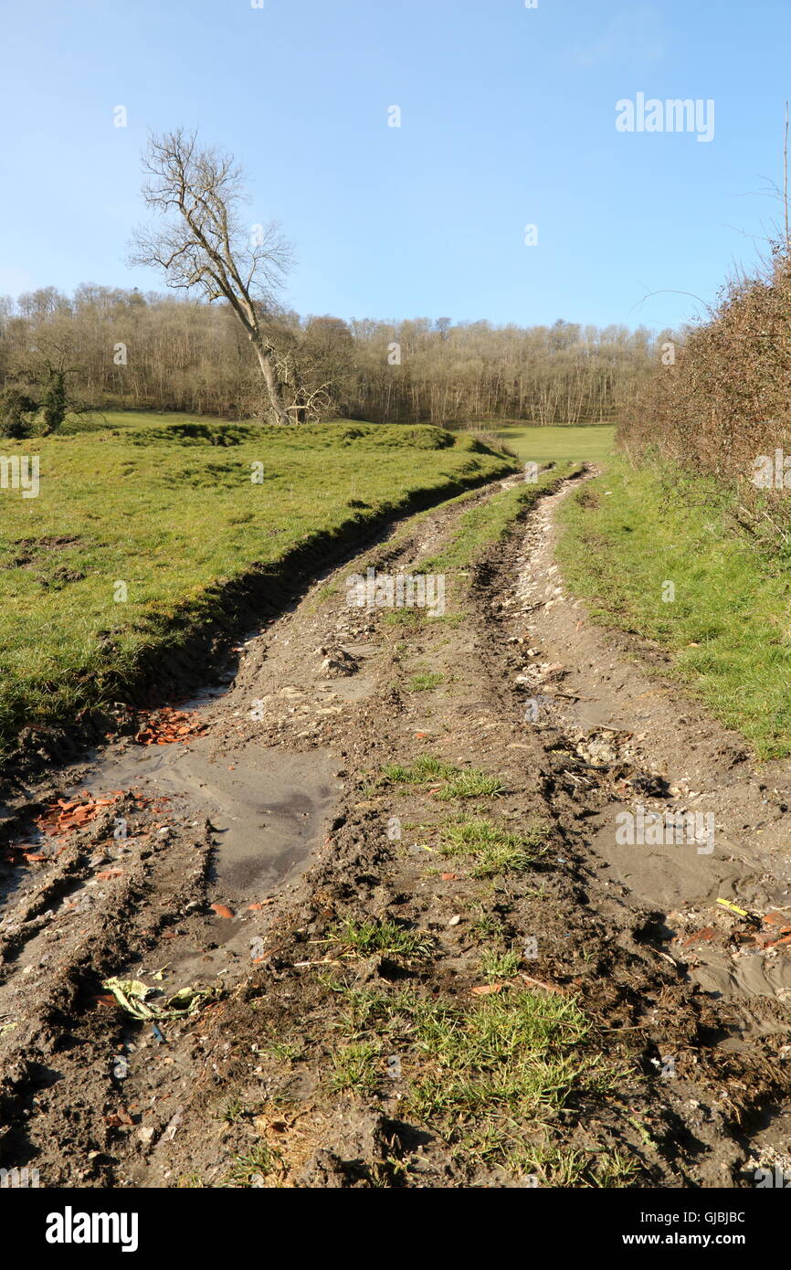 Track through field,Melbury Bubb,Dorset,UK Stock Photo