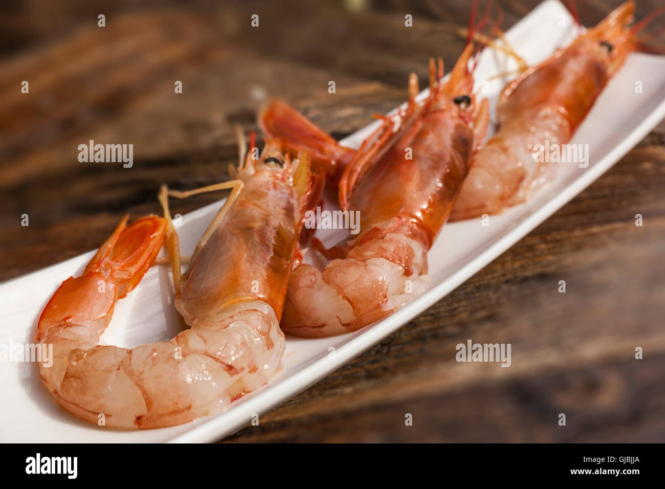 crayfish or shrimp or prawn Stock Photo Alamy