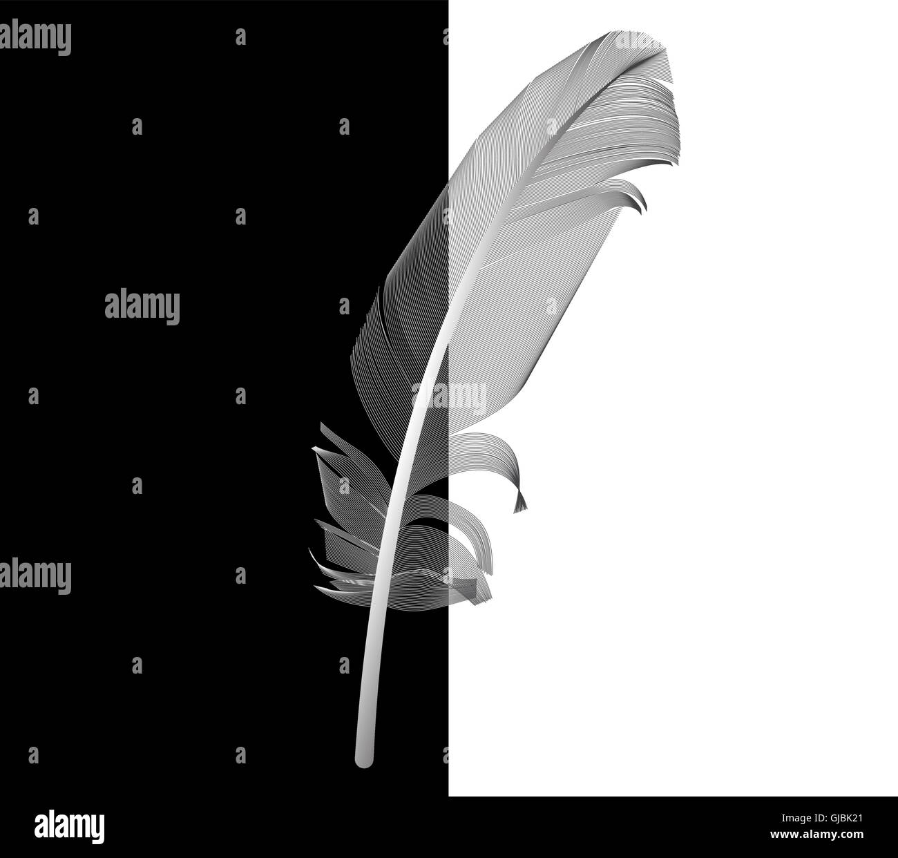 Black and White Bird Feather Drawn in Vector Illustration Stock Vector ...
