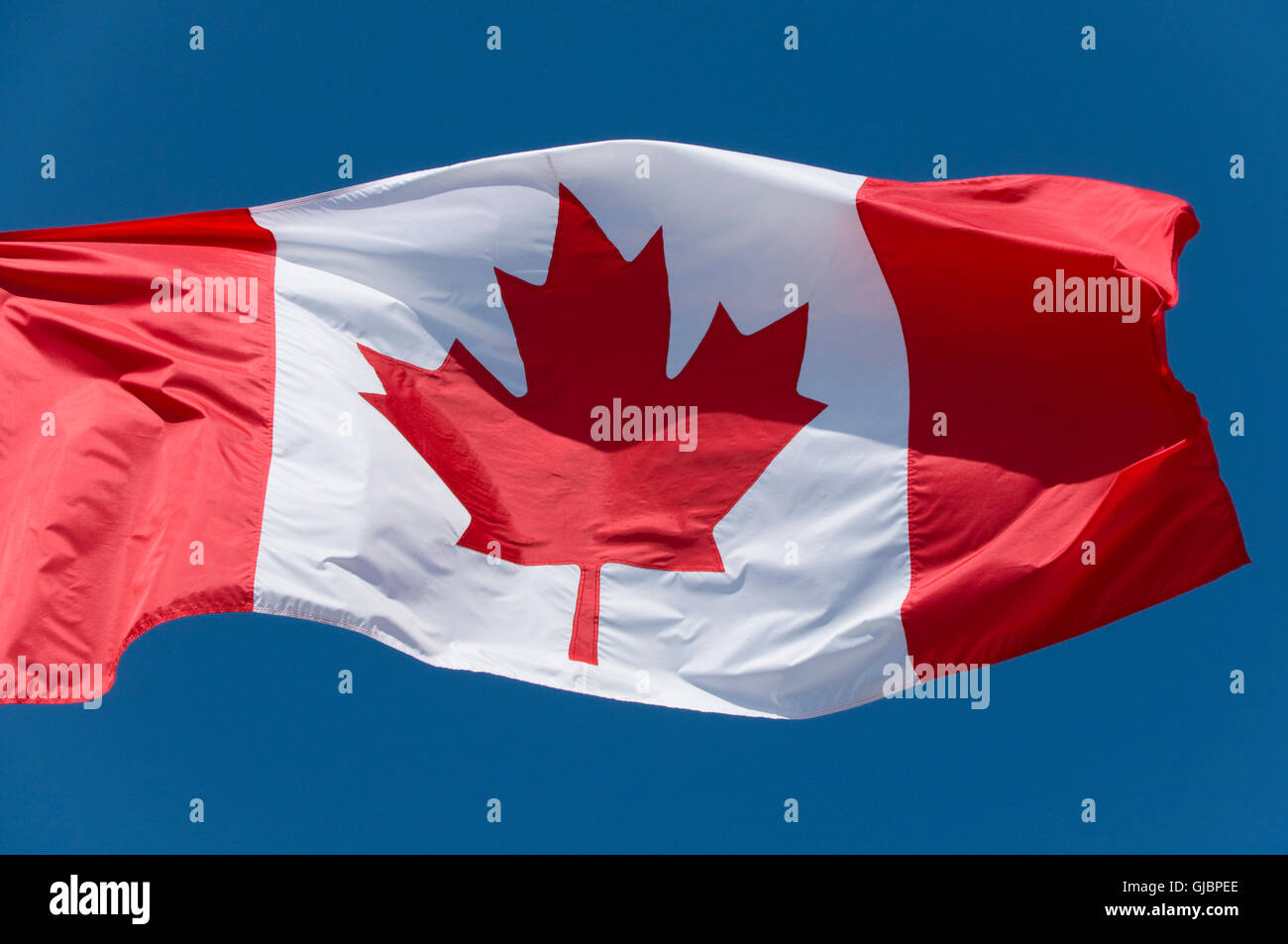 The Canadian flag flying against a bright blue sky. Stock Photo