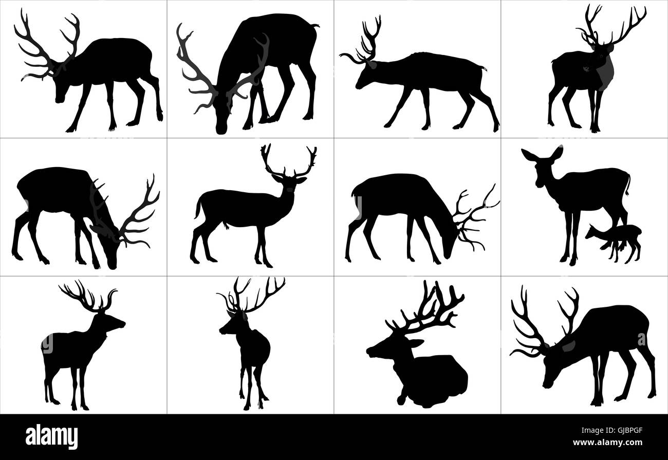 Set of deers vector silhouette illustration, isolated on white background. Stock Vector