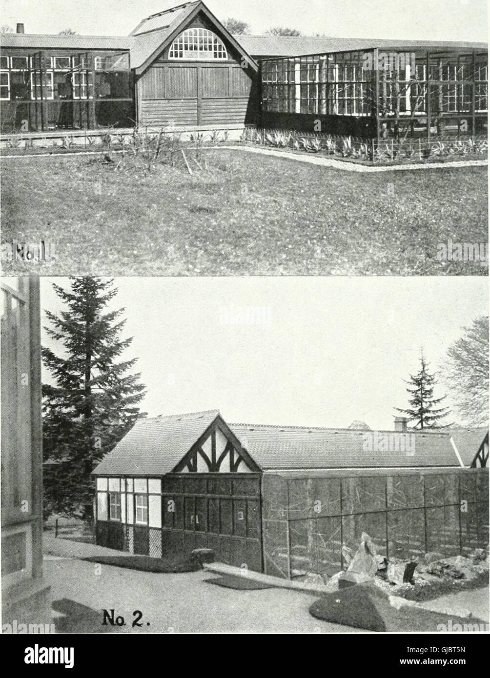 Photo inspiration: Fresh Look at Bird Notes Published In 1911 Offers Insights Into Bird Behaviors