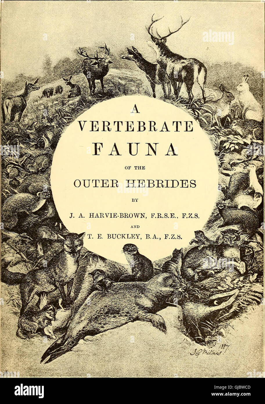 This 1892 work documents the vertebrate fauna of Lakeland, covering the ...